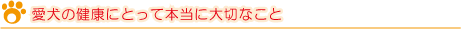 愛犬の健康にとって本当に大切なこと