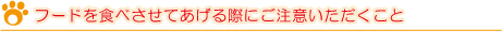 フードを食べさせてあげる際にご注意いただくこと