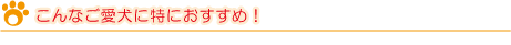 こんなご愛犬におすすめ