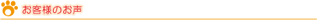 お客様のお声