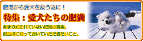 愛犬たちの肥満