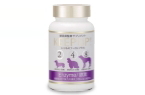 KEEP UP! Enzyme/酵素